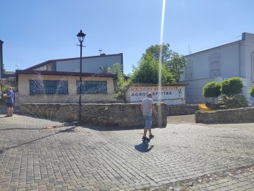 PPK na Dniach Przedborza 2026, 
